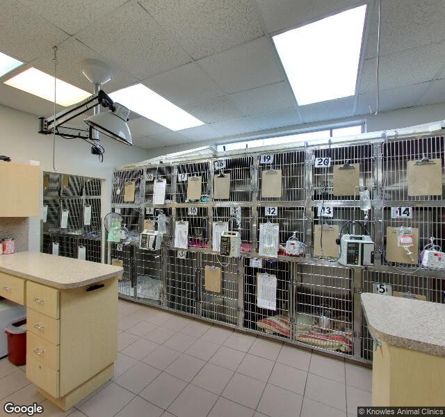 VCA Knowles Central Animal Hospital location - Miami