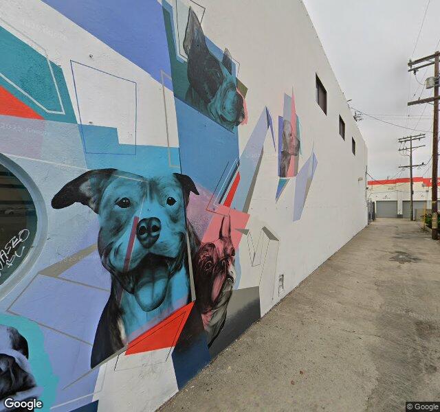 D Pet Hotels Hollywood location - Los Angeles