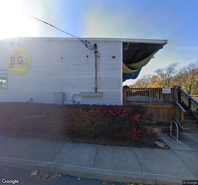 The Big Easy Animal Hospital location - Pittsburgh