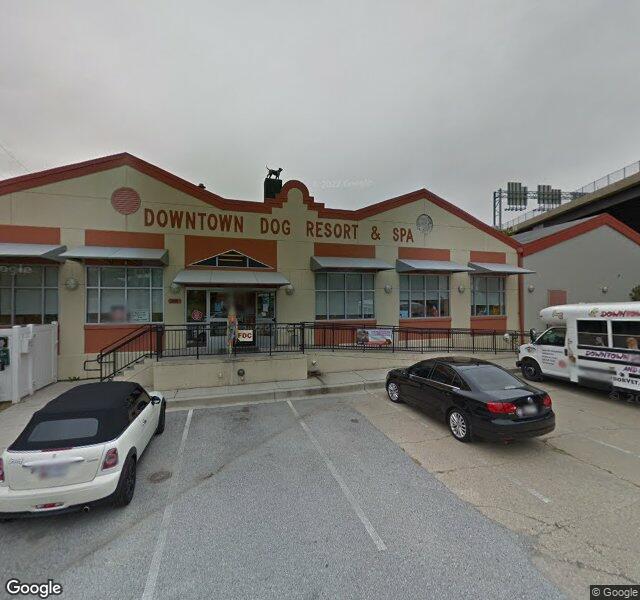 Downtown Dog Resort & Spa location - Baltimore