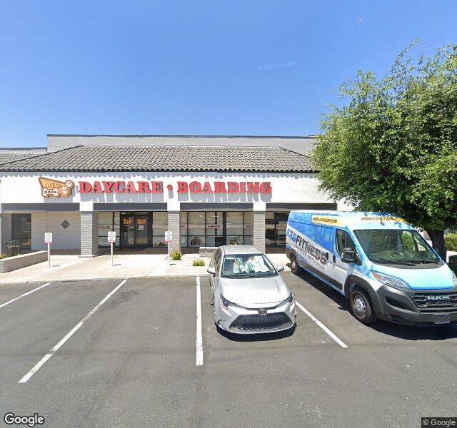 Mesa Dogs 24/7 storefront - Mesa