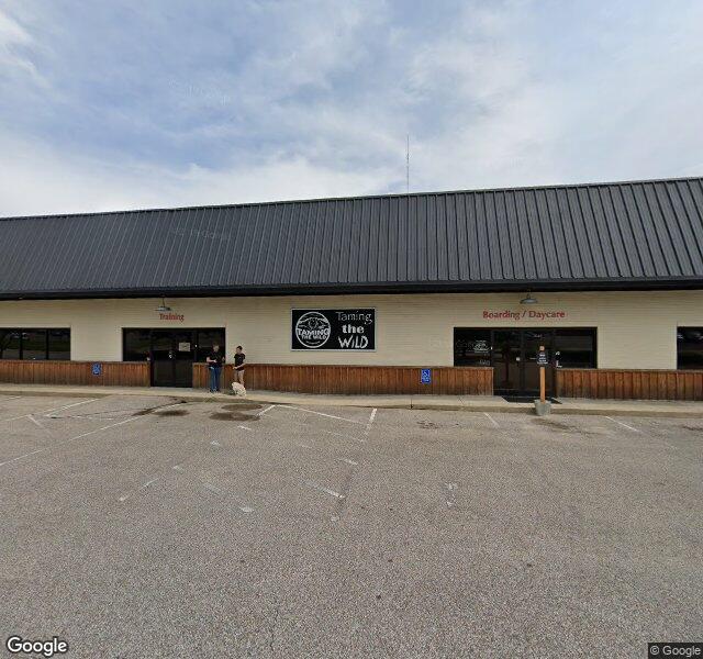 Taming the Wild storefront - Memphis