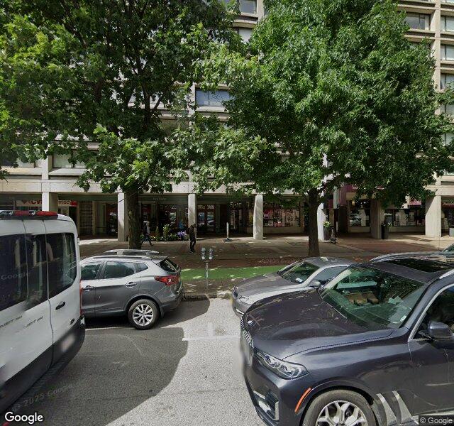 Fern location - Boston