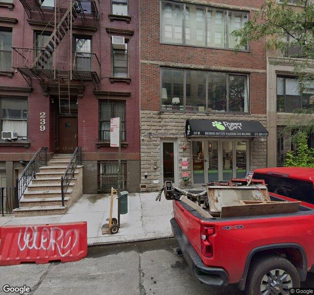 Puppy Loft storefront - New York