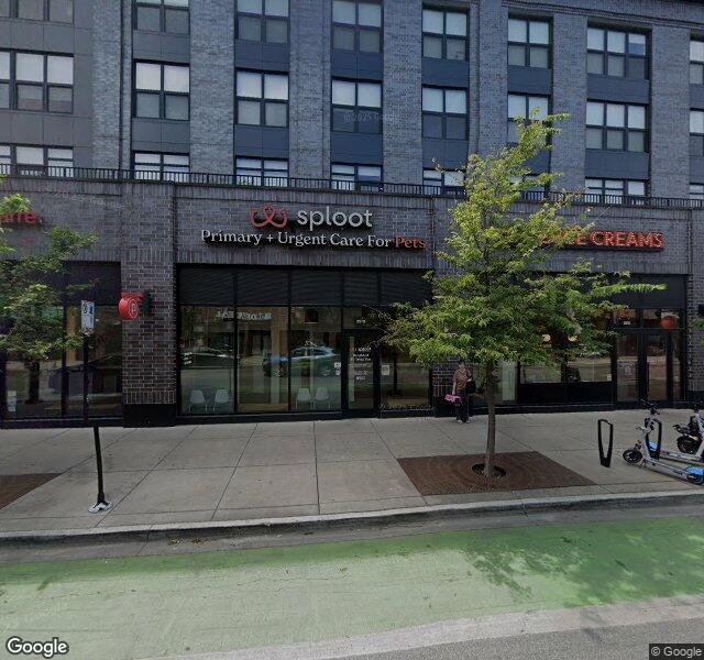 Sploot Veterinary Care - Logan Square storefront - Chicago
