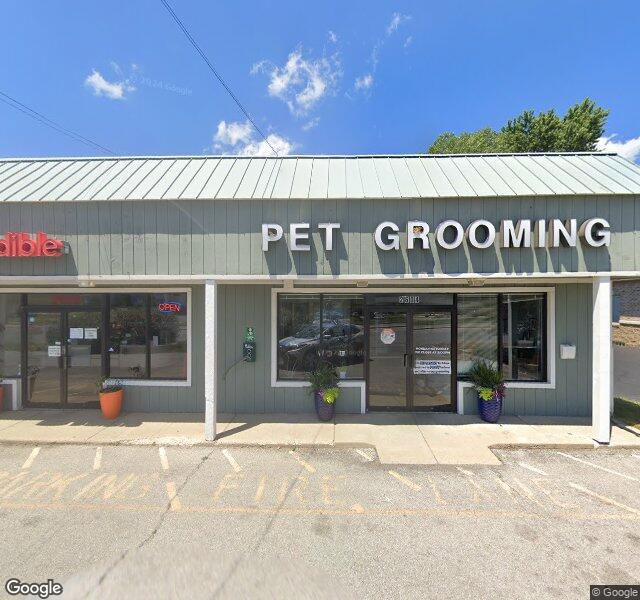 Broad Ripple Canine Design storefront - Indianapolis