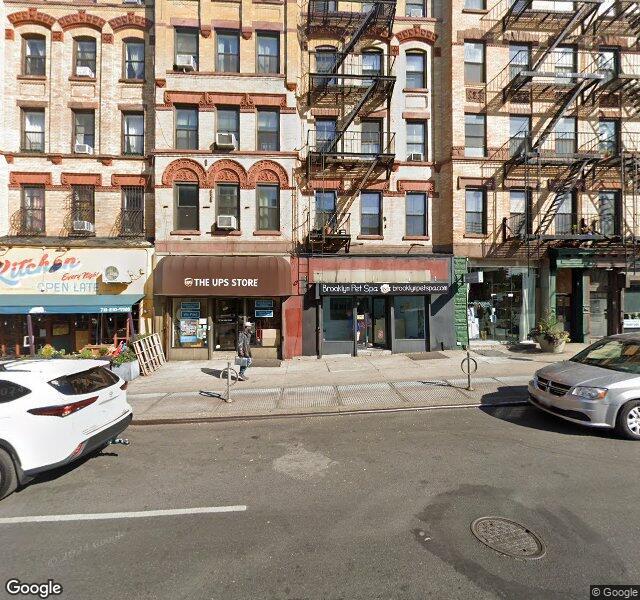 Brooklyn Pet Spa Pet Grooming Brooklyn location - New York