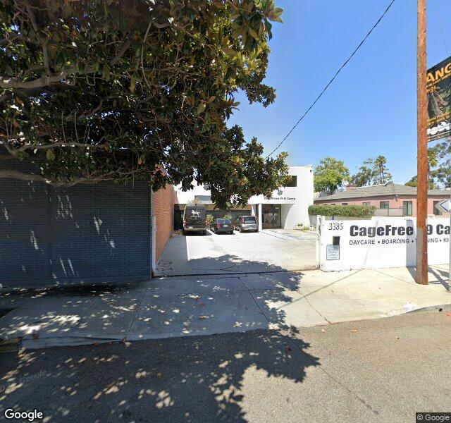 Cagefree K-9 Camp location - Los Angeles