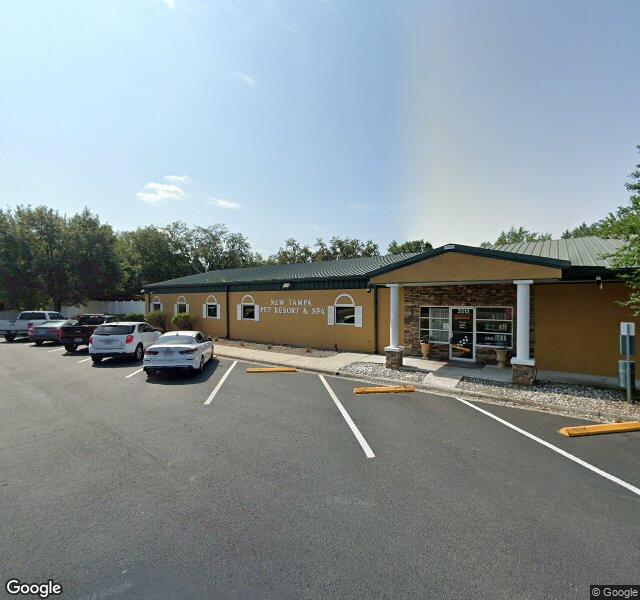 New Tampa Pet Resort location - Tampa