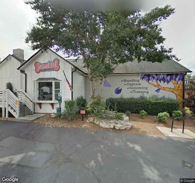 Social Pet at Charlotte location - Charlotte