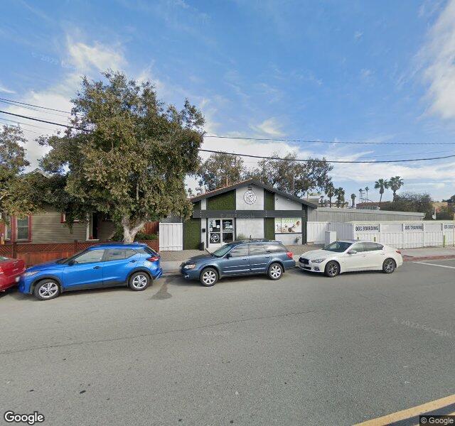 Paw Commons Pet Resort & Training Center - Hillcrest location - San Diego