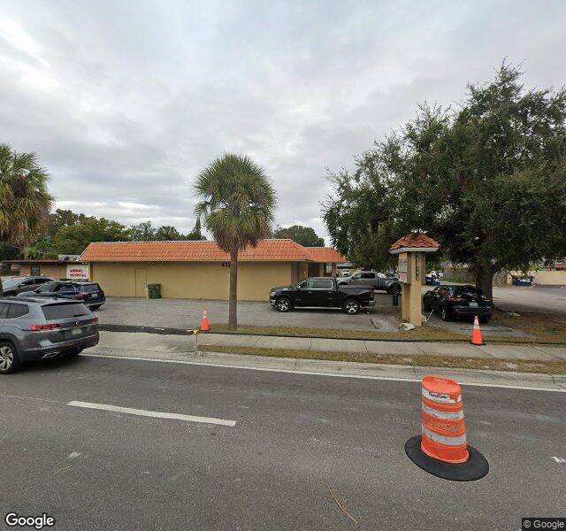 Wellswood Midtown Animal Hospital location - Tampa