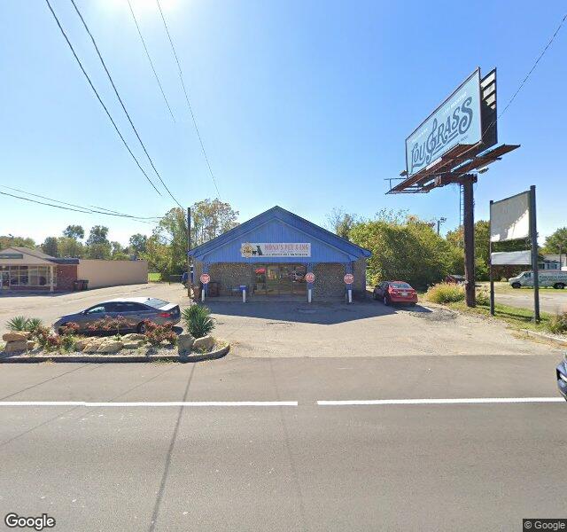 Mona's Pet X-Ing At Highview location - Louisville