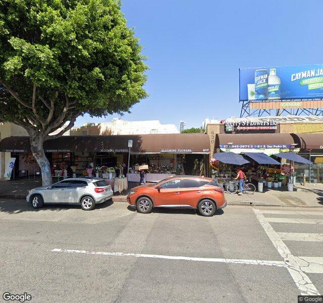 Blooming Flowers LA location - Los Angeles