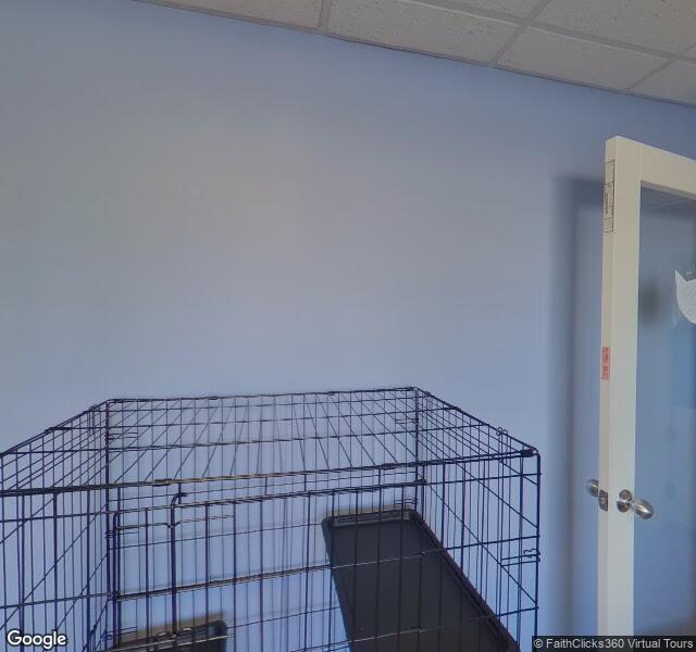 The Ruff House Stay & Play at Greenbrier location - Virginia Beach